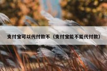 支付宝可以代付款不（支付宝能不能代付款）