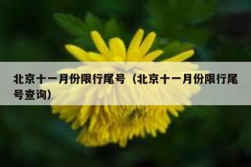 北京十一月份限行尾号（北京十一月份限行尾号查询）