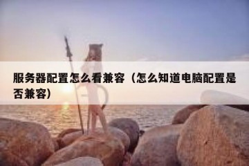 服务器配置怎么看兼容（怎么知道电脑配置是否兼容）