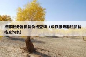 成都服务器租赁价格查询（成都服务器租赁价格查询表）