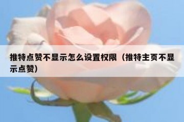 推特点赞不显示怎么设置权限（推特主页不显示点赞）