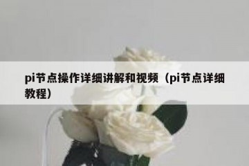 pi节点操作详细讲解和视频（pi节点详细教程）