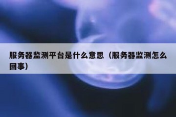 服务器监测平台是什么意思（服务器监测怎么回事）