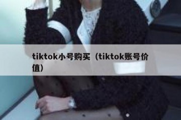 tiktok小号购买（tiktok账号价值）