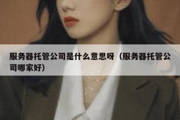 服务器托管公司是什么意思呀（服务器托管公司哪家好）