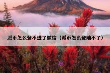 派币怎么登不进了微信（派币怎么登陆不了）