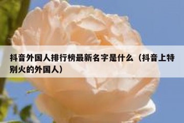 抖音外国人排行榜最新名字是什么（抖音上特别火的外国人）