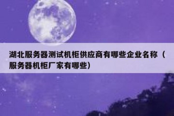 湖北服务器测试机柜供应商有哪些企业名称（服务器机柜厂家有哪些）