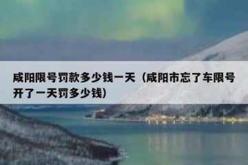 咸阳限号罚款多少钱一天（咸阳市忘了车限号开了一天罚多少钱）