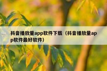 抖音播放量app软件下载（抖音播放量app软件最好软件）