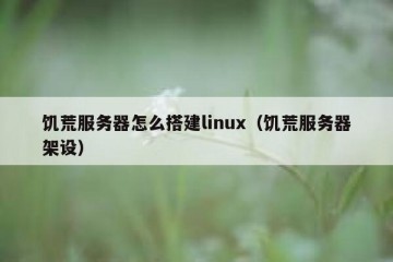 饥荒服务器怎么搭建linux（饥荒服务器架设）