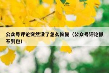 公众号评论突然没了怎么恢复（公众号评论抓不到包）