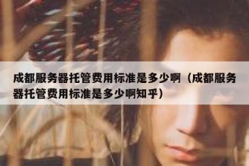 成都服务器托管费用标准是多少啊（成都服务器托管费用标准是多少啊知乎）