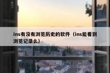 ins有没有浏览历史的软件（ins能看到浏览记录么）
