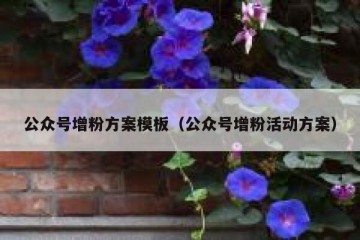 公众号增粉方案模板（公众号增粉活动方案）