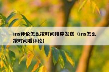 ins评论怎么按时间排序发送（ins怎么按时间看评论）