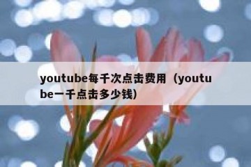 youtube每千次点击费用（youtube一千点击多少钱）