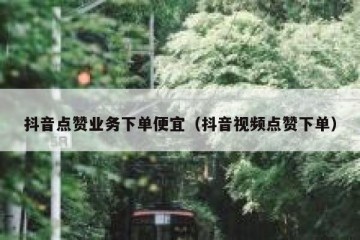 抖音点赞业务下单便宜（抖音视频点赞下单）