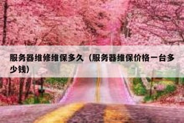 服务器维修维保多久（服务器维保价格一台多少钱）