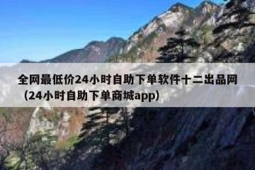 全网最低价24小时自助下单软件十二出品网（24小时自助下单商城app）