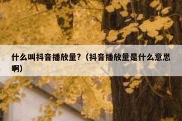 什么叫抖音播放量?（抖音播放量是什么意思啊）