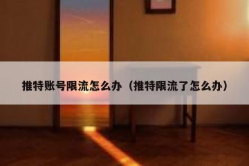 推特账号限流怎么办（推特限流了怎么办）