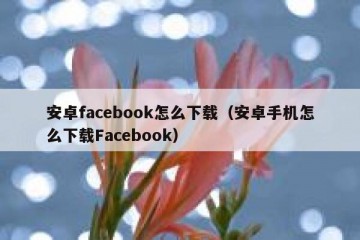 安卓facebook怎么下载（安卓手机怎么下载Facebook）