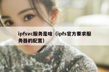 ipfsvc服务是啥（ipfs官方要求服务器的配置）