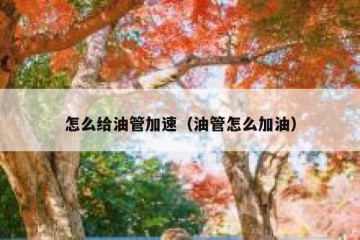 怎么给油管加速（油管怎么加油）