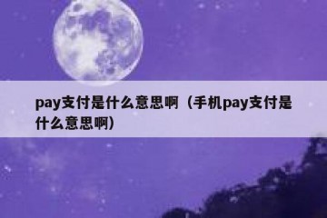 pay支付是什么意思啊（手机pay支付是什么意思啊）