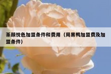 茶颜悦色加盟条件和费用（周黑鸭加盟费及加盟条件）