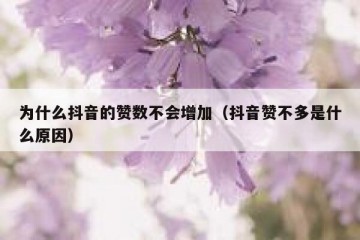 为什么抖音的赞数不会增加（抖音赞不多是什么原因）