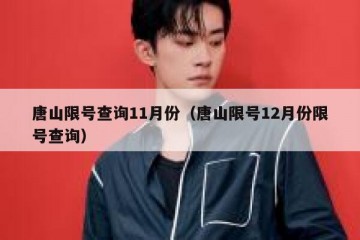 唐山限号查询11月份（唐山限号12月份限号查询）