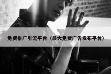 免费推广引流平台（最大免费广告发布平台）