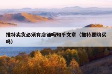 推特卖货必须有店铺吗知乎文章（推特要购买吗）