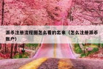 派币注册流程图怎么看的出来（怎么注册派币账户）