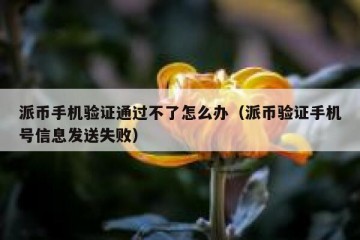 派币手机验证通过不了怎么办（派币验证手机号信息发送失败）