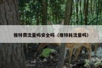 推特费流量吗安全吗（推特耗流量吗）