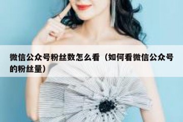 微信公众号粉丝数怎么看（如何看微信公众号的粉丝量）