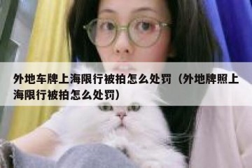 外地车牌上海限行被拍怎么处罚（外地牌照上海限行被拍怎么处罚）