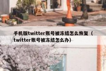 手机版twitter账号被冻结怎么恢复（twitter账号被冻结怎么办）