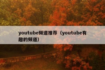 youtube频道推荐（youtube有趣的频道）