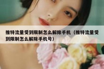 推特流量受到限制怎么解除手机（推特流量受到限制怎么解除手机号）