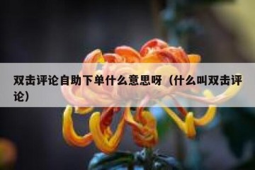 双击评论自助下单什么意思呀（什么叫双击评论）