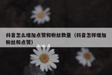 抖音怎么增加点赞和粉丝数量（抖音怎样增加粉丝和点赞）