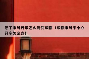 忘了限号开车怎么处罚成都（成都限号不小心开车怎么办）