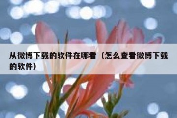 从微博下载的软件在哪看（怎么查看微博下载的软件）