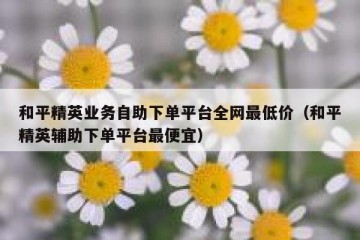和平精英业务自助下单平台全网最低价（和平精英辅助下单平台最便宜）