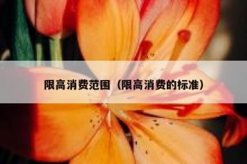 限高消费范围（限高消费的标准）