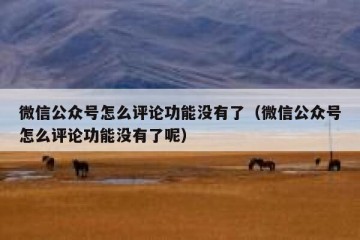 微信公众号怎么评论功能没有了（微信公众号怎么评论功能没有了呢）